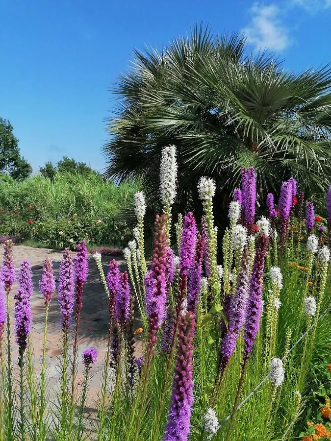 *** Hotel Oroverde Bergeggi Italien
