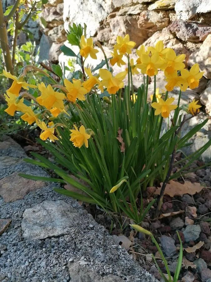 Oroverde Bergeggi