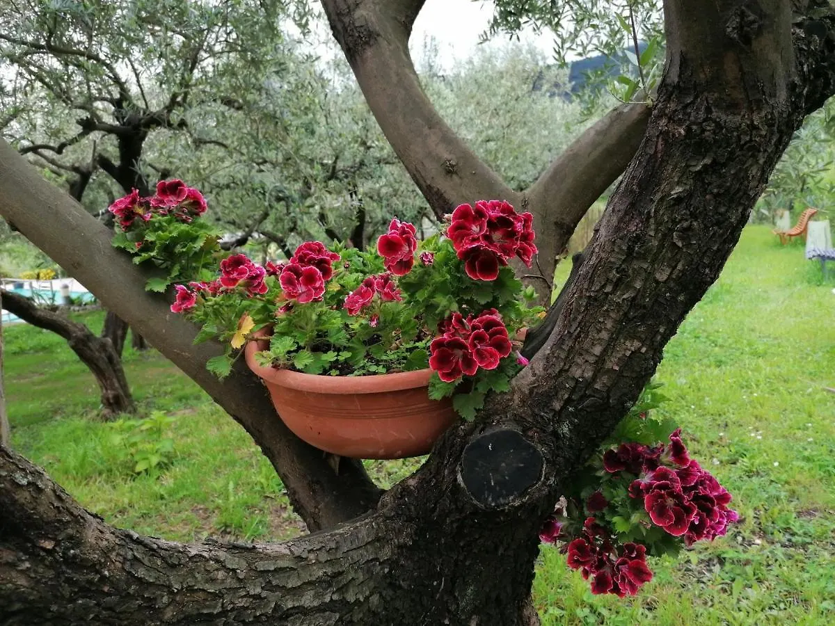 Oroverde Bergeggi 3*,  Italien