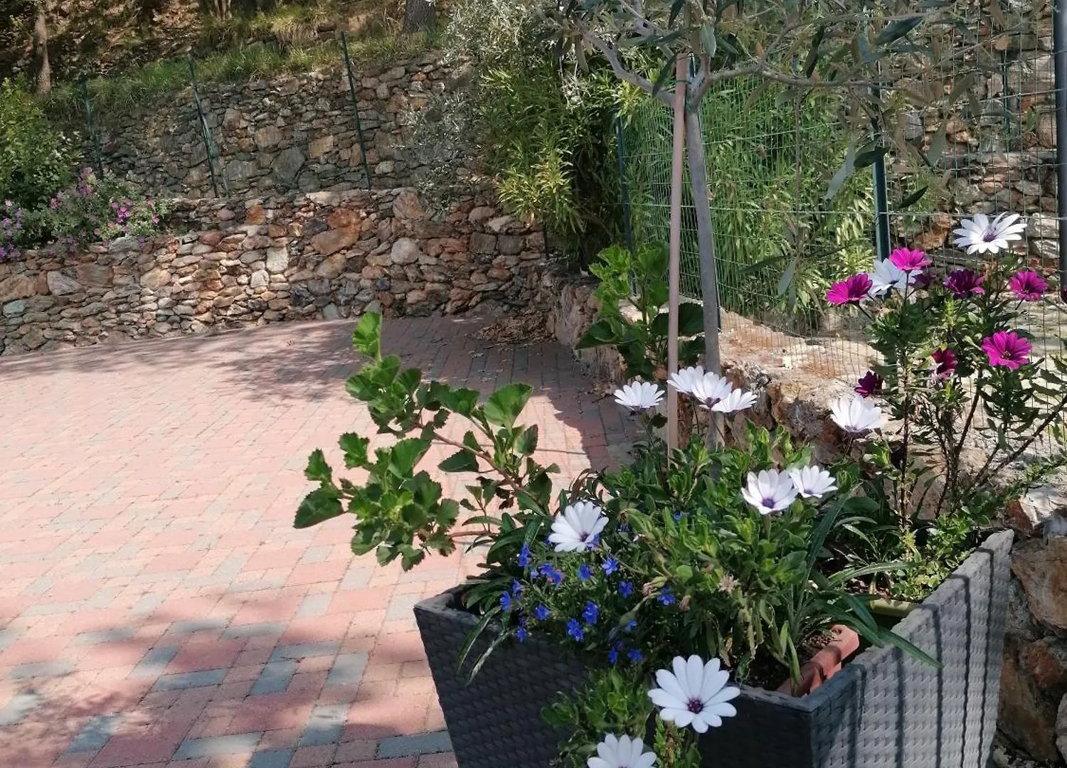 Oroverde Bergeggi Italien