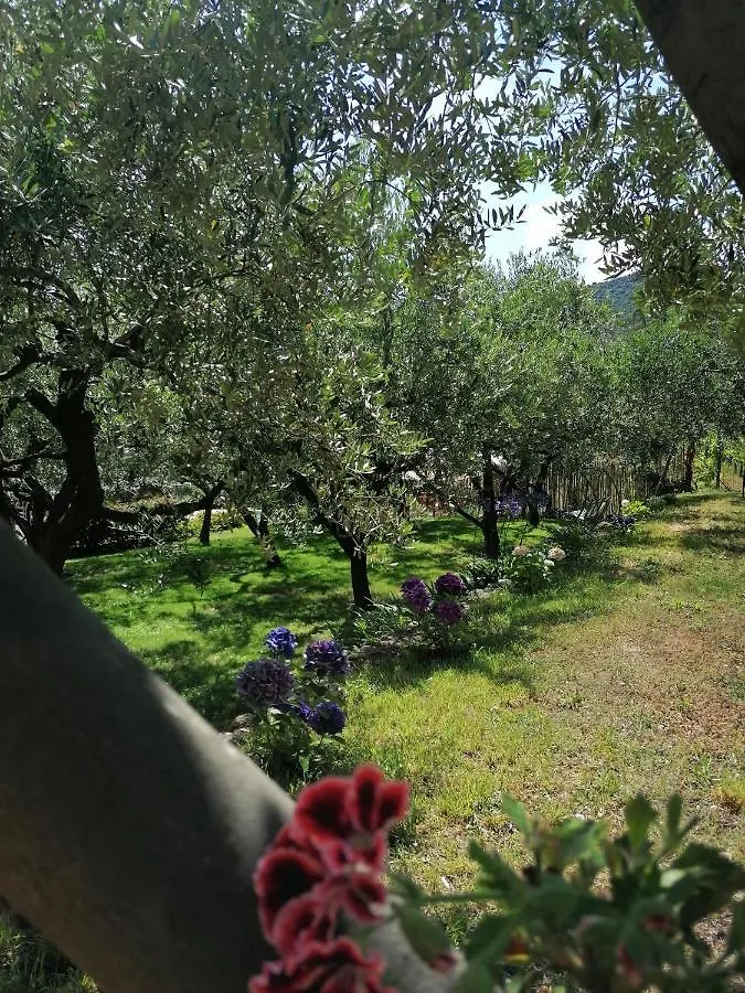 Oroverde Bergeggi Hotel