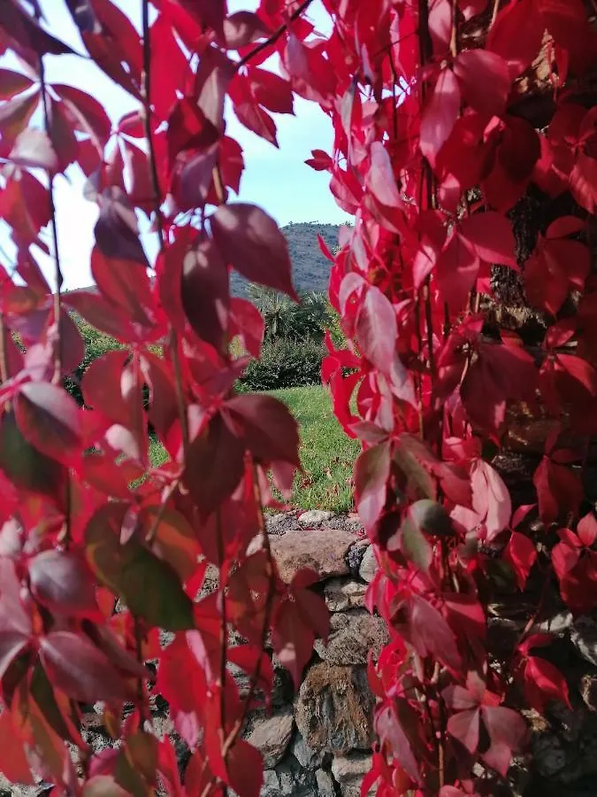 Oroverde Bergeggi