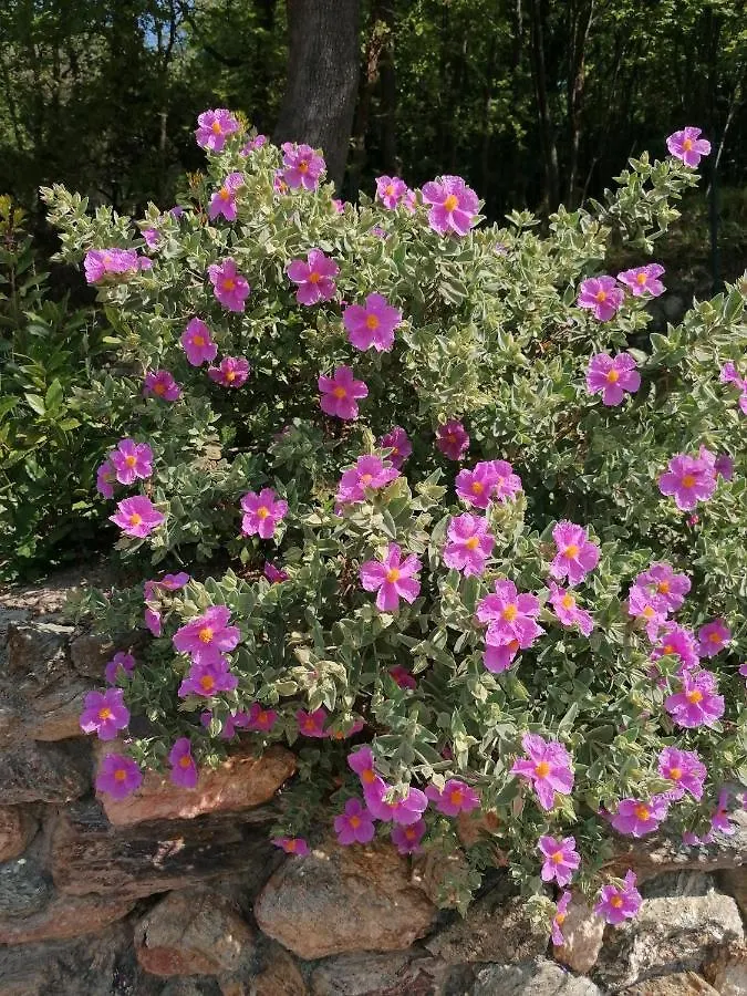 Hotel Oroverde Bergeggi